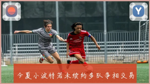 今夏小波特若未续约多队争相交易或签约新合同